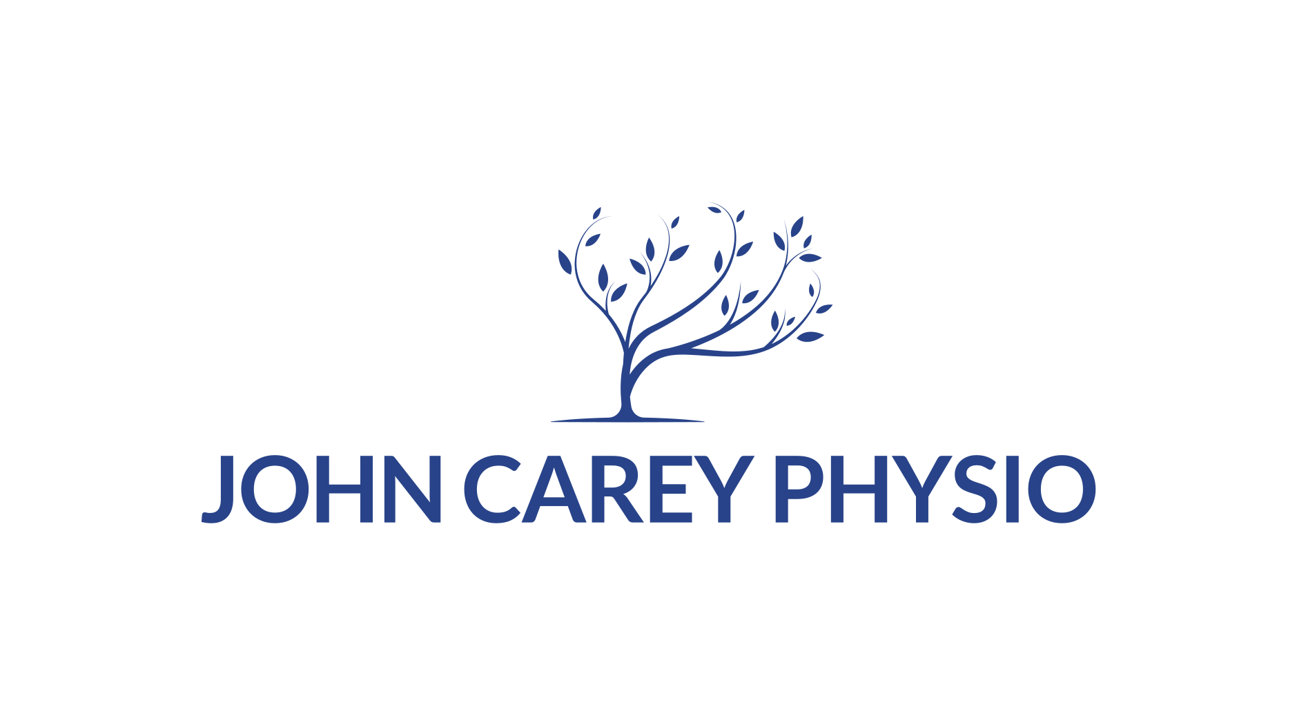johncareyphysio